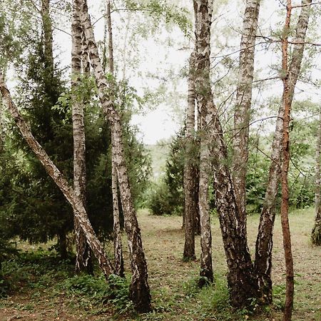 Berzu Namelis - Birch Cabin Kuciunai Ngoại thất bức ảnh