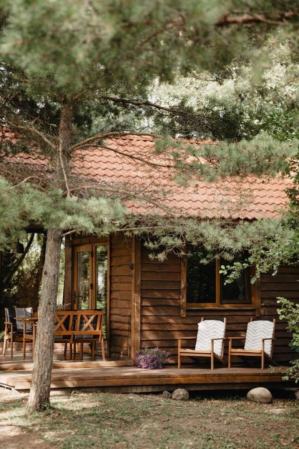 Berzu Namelis - Birch Cabin Kuciunai Ngoại thất bức ảnh