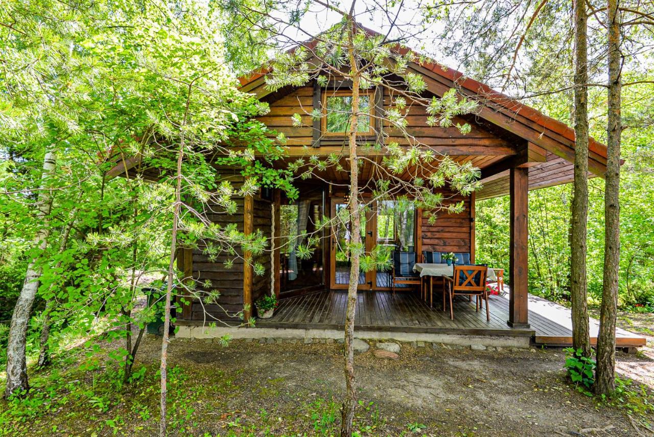 Berzu Namelis - Birch Cabin Kuciunai Ngoại thất bức ảnh